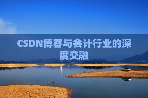 CSDN博客与会计行业的深度交融